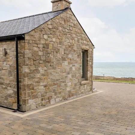 House Crohy Head * دونغلو